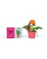 TECHNOLOGY WILL SAVE US - Plant DIY Kit Multicoloured