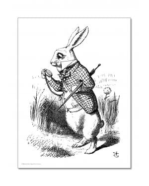 ALIBABETTE - The White Rabbit coloring