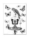 ALIBABETTE - Les papillons- coloring