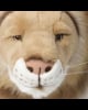 WILD & SOFT - Trophy in plush - Lion's head - César