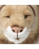 WILD & SOFT - Trophée en peluche - Tête de lion - César
