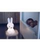MIFFY First Light- KIDS Design lamp