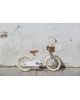 Banwood - Gingersnap Bobbin Bicycles - 16"