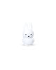 MIFFY-LAMPE First Light