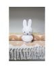 MIFFY-LAMPE First Light