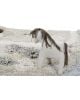 LORENA CANALS - Tapis coton lavable Pine Forest - 140 x 200 cm