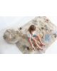 LORENA CANALS - Tapis coton lavable Pine Forest - 140 x 200 cm