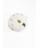 WILD & SOFT - Trophée en peluche - Tête d'ours polaire - Basile