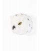 WILD & SOFT - Trophy in plush - Polar bear's head- Basile