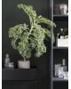 FERM LIVING - Plant Box - Black