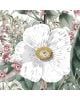 Les Dominotiers - Papier peint sur mesure - Décor Panoramique Jardin Botanique