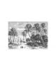 Les Dominotiers - Custom Wallpaper - Oasis Panoramic Decor