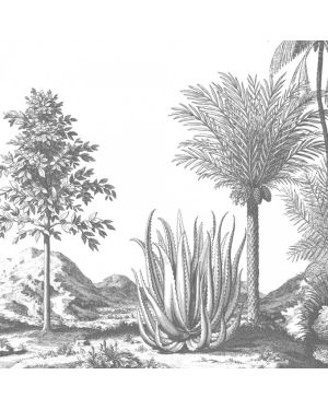 Les Dominotiers - Papier peint sur mesure - Décor Panoramique Aloes Grey