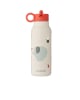 Liewood - Gourde Falk 350 ml - Cirque