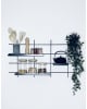 Gassien - Lucien Shelf