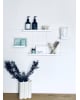 Gassien - Lucien Shelf