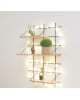 Gassien - Inès Shelf