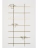 Gassien - Emile Green Shelf