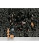 DOMESTIC - PANORAMIC WALLPAPER - Black Forest
