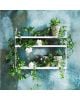 String Furniture - WALL SHELVES White