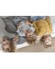 KUTIKAI - Lit enfant junior - Peekaboo collection - 160x80 cm 